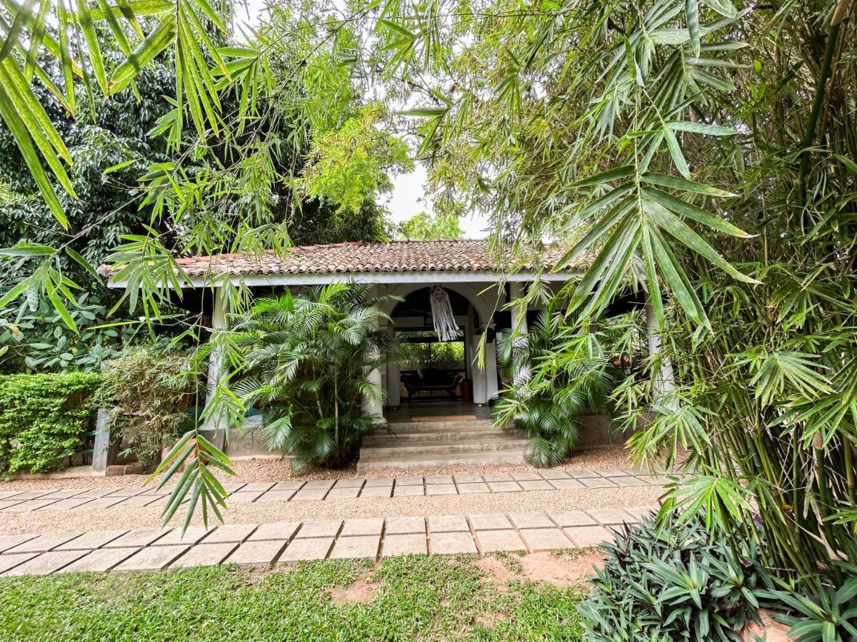 Hotel Wild Heaven à Tissamaharama Extérieur photo