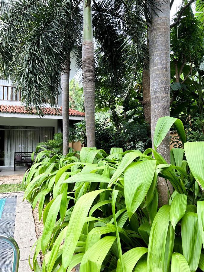 Hotel Wild Heaven à Tissamaharama Extérieur photo