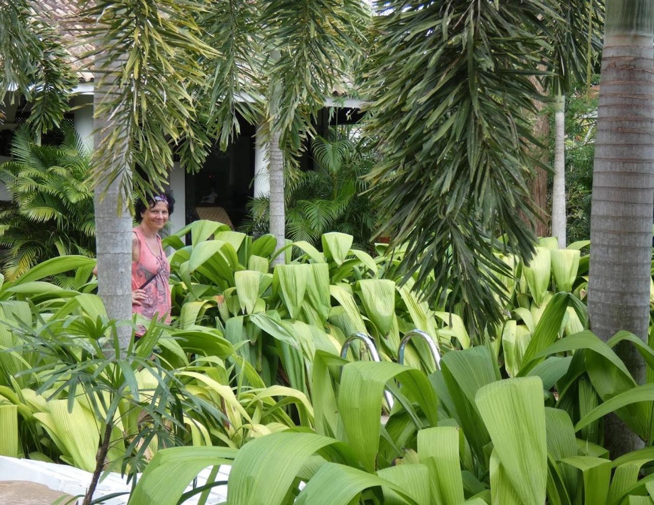 Hotel Wild Heaven à Tissamaharama Extérieur photo