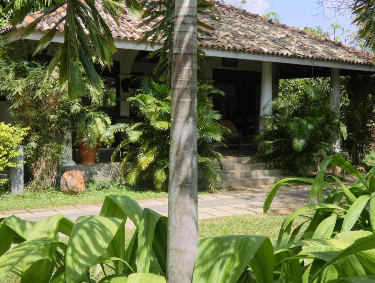 Hotel Wild Heaven à Tissamaharama Extérieur photo