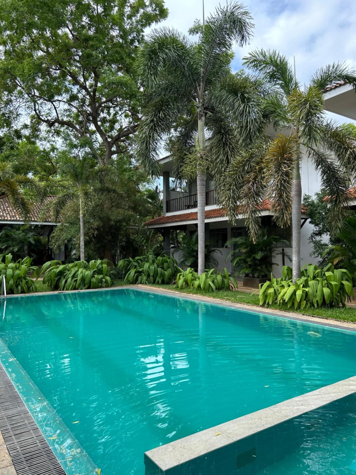Hotel Wild Heaven à Tissamaharama Extérieur photo