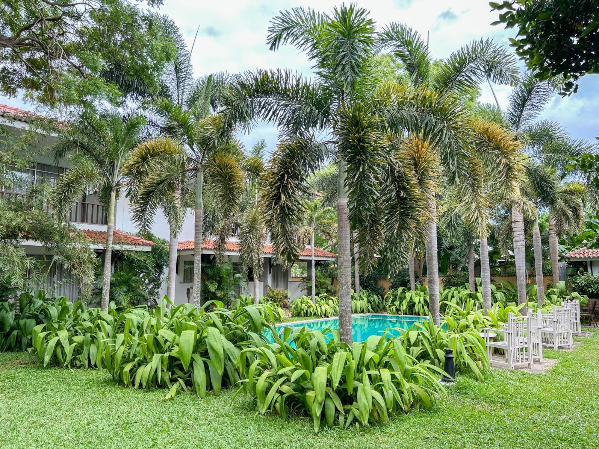 Hotel Wild Heaven à Tissamaharama Extérieur photo