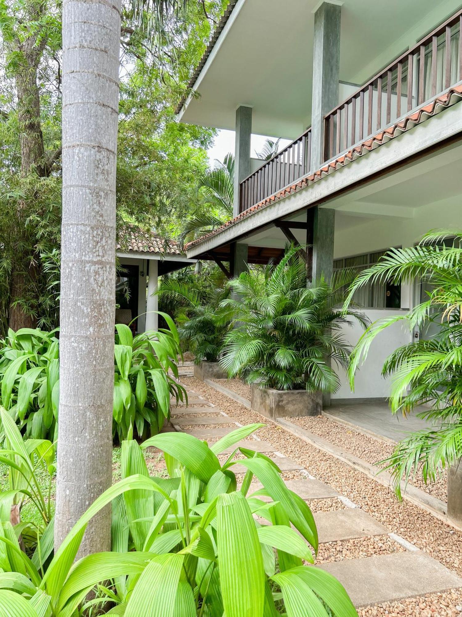 Hotel Wild Heaven à Tissamaharama Extérieur photo